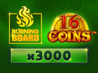16 Coins™ Burning Board™ screenshot